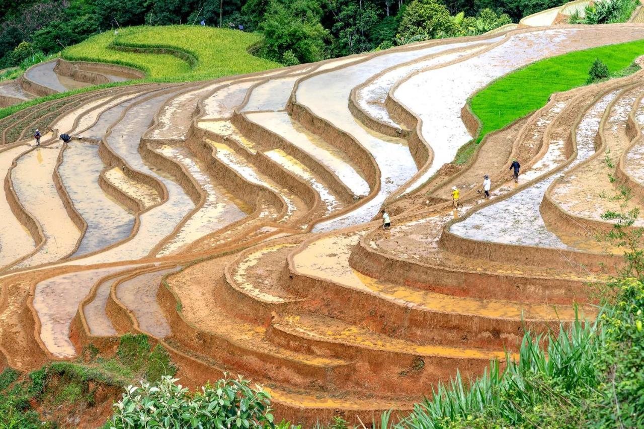 Sapa Fantasea Homestay 외부 사진